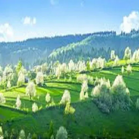 בית הארחה Penzion** Amalka