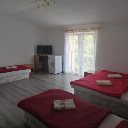 בית הארחה Penzion** Amalka 3*