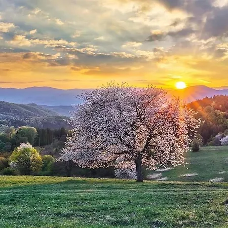 Penzion** Amalka בית הארחה