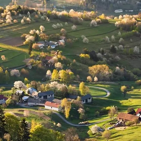 Penzion** Amalka בית הארחה 3*