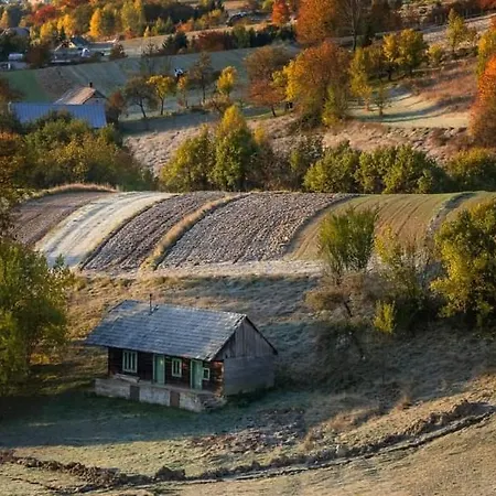 בית הארחה Penzion** Amalka 3*