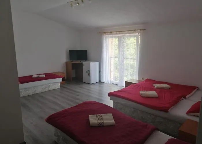 Casa de hóspedes Penzion** Amalka 3*