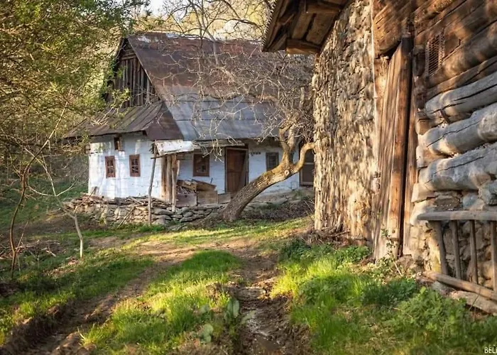 Casa de hóspedes Penzion** Amalka