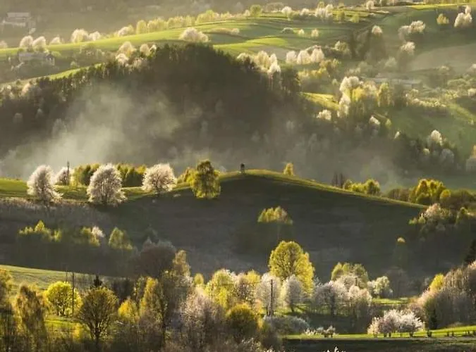Casa de hóspedes Penzion** Amalka Hriňová